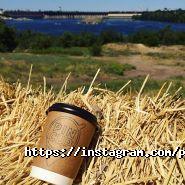 Pin Cup, кав'ярня фото