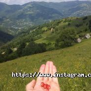 GoodMak, виробництво гамаків фото