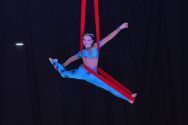 Академия воздушной акробатики и спорта на пилоне фото
