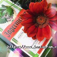 Silver Lounge, кальян-бар фото