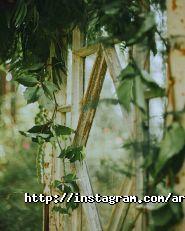 L'Azure, арт-бутик фото