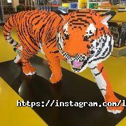 Легоклуб, сеть детских магазинов фото