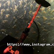 Cocaine, кальян-бар фото