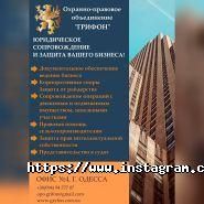 Грифон, юридична фірма фото