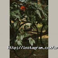 L'Azure, арт-бутик фото