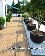 Центр ландшафтного дизайну фото