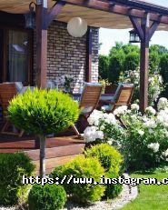 Центр ландшафтного дизайну фото