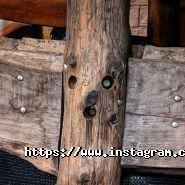 Ведучий Юра Бадзян фото