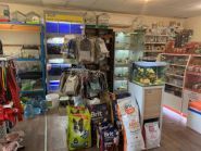 Пітон, зоомагазин фото