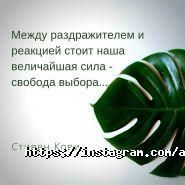 Ayur Boutique, інтернет-магазин фото