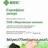 Миронівські-насіння фото