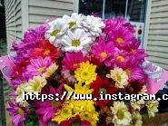 My Bouquet, магазин квітів фото