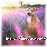 Фешн Продакшн Центр, ательє фото