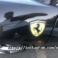 Everest, митний брокер фото