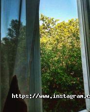 Spir24, оренда квартир фото