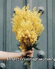 You Can, мовна школа фото