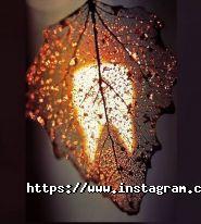 Dr. Natalie Choban, стоматологічний кабінет фото