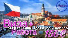 Сакура, трудоустройство за рубежом фото