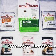 Alvet, ветеринарний центр фото