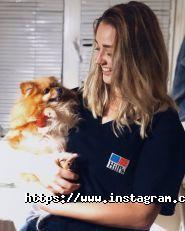 Alvet, ветеринарний центр фото