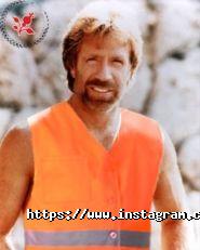 Шипшина, магазин шин фото