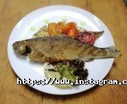 Заміське кафе Хмельницький фото