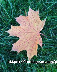 ПрофГиб, покрівельна майстерня фото