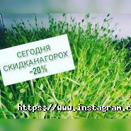 Mr Green, магазин здорового питания фото