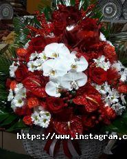 Фотінія, квіткова галерея фото