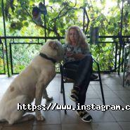 Elegance, салон краси фото