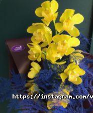 Violy flowers, оформлення свят фото