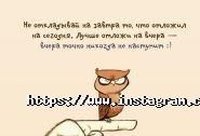 Синай, медичний центр фото