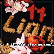 Lion, клуб фото