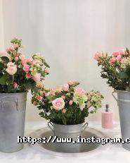 Magic flower lab, бутик флористики і декору фото