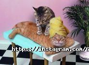 Beauty on 639 street, салон фото