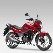 ArDa-МоТо, магазин фото