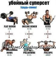 Elephant, спортивный клуб фото