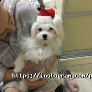 Природа, зоомагазин фото