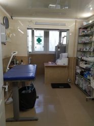 Амулет, ветеринарная клиника врача Журина И.В. фото