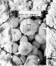 Все чеснок, креативна агенція фото