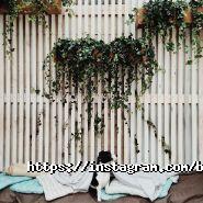 Barbara, гастробарі фото