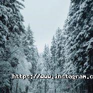 На крилах, пасажирські перевезення фото