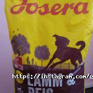 Гав&Мур, зоосалон фото