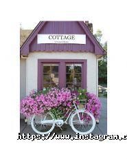 ViLexGroup, юридична фірма фото