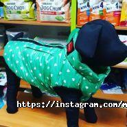 Абрикос, зоомагазин фото