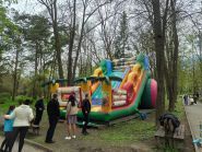 Джунгли, веревочный парк фото