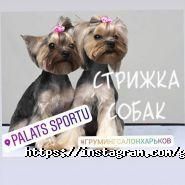 Гав&Мур, зоосалон фото