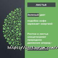 Rest or Run, мережа кав'ярень та точок з продажу кави фото