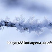 Ттт, мережа магазинів техніки фото