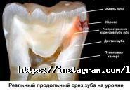 Лемед-Дент, стоматологічна клініка фото